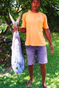 fish